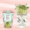 (내 손으로 키워먹는 건강새싹) 한컵새싹농장_무순
