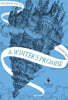 A Winter's Promise: Book One of the Mirror Visitor Quartet