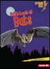 Let's Look at Bats
