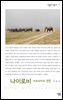 나이로비 : 아프리카의 관문 - 살림지식총서 111