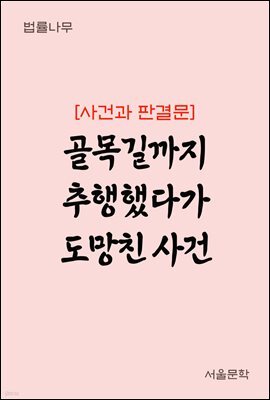 골목길까지 추행했다가 도망친 사건 : 사건과 판결문