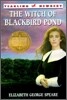 The Witch of Blackbird Pond