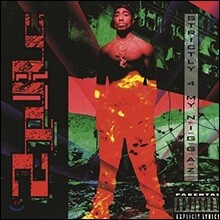2Pac (투팍) - Strictly 4 My N.I.G.G.A.Z... [2 LP]