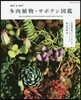 solxsol 多肉植物.サボテン圖鑑