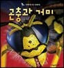 곤충과 거미