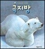 극지방