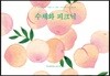수채화 피크닉