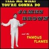 James Brown (제임스 브라운) - Tell Me What You’re Gonna Do [Limited Edition LP]