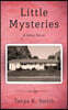 Little Mysteries: A Debut Novel