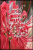 Beware of emotional vampires, they will suck the life right out of you: 6x9 Inch Lined Journal/Notebook - Red spider lilly, red, flower, Colorful, Cal