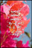 Beware of Emotional Vampires, They Will Suck the Life Right Out of You: 6x9 Inch Lined Journal/Notebook - Bougainvillea, Colorful, Nature, Calligraphy