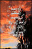 Beware of Emotional Vampires, They Will Suck the Life Right Out of You: 6x9 Inch Lined Journal/Notebook - Pink, Sunset, Tree, Nature, Calligraphy Art