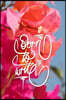 Born to Write: 6x9 Inch Lined Journal/Notebook to Remind You That You Were Born to Write! - Pink, Flower, Bougainvillea, Nature, Colo