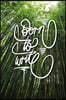 Born to Write: 6x9 Inch Lined Journal/Notebook to remind you that you were born to write! - Green, Bamboo forest, Tranquil, Japan, Ca