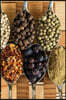 Herbs and Spices: Notebook, 150 Lined Pages, Softcover, 6 X 9