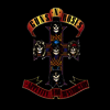 Guns N' Roses - Appetite For Destruction (CD)