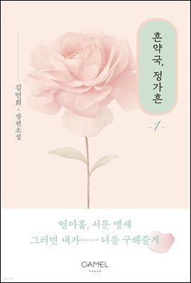 흔약국, 정가흔 1권