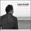 Luka Bloom - Dreams In America