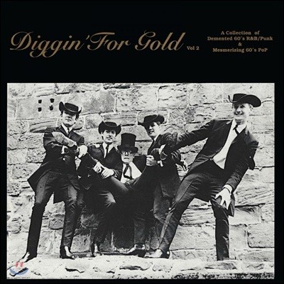 1960년대 리듬 앤 블루스, 펑크, 팝 음악 모음집 (Digging For Gold, Vol. 2) [골드 컬러 LP]