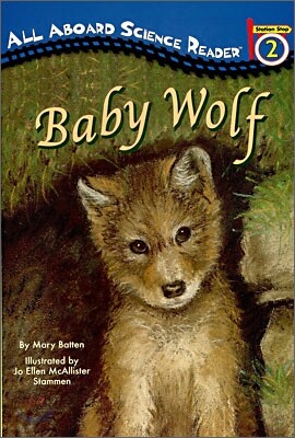 Baby Wolf