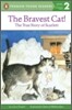 The Bravest Cat!