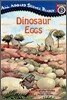 Dinosaur Eggs