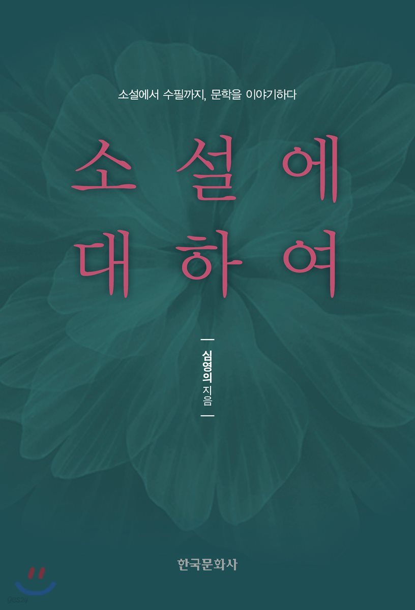 소설에 대하여