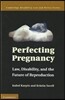 Perfecting Pregnancy