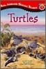 Turtles