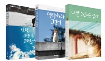 안녕 고양이 시리즈 세트