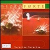 Mezzoforte (메조 포르테) - Surprise Surprise