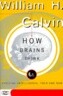 How Brains Think: Evolving Intelligence, Then and Now
