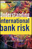 Understanding International Bank Risk