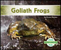 Goliath Frogs
