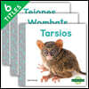 Animales Nocturnos (Nocturnal Animals) (Set)