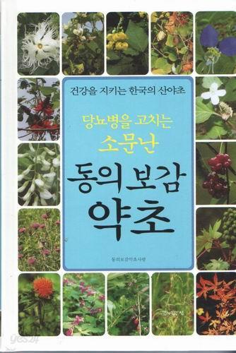 당뇨병을 고치는 소문난 동의보감 약초