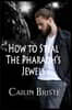 How to Steal the Pharaoh's Jewels: A Thief in Love Suspense Romance