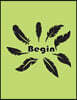 Begin: Feathers on the Light Green Cover Notebook Journal Diary, This Notebook Journal with 110 Pages (8.5 X 11) Inches, Bull