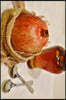 Yummy Pomegranate Journal: Take Notes, Write Down Memories in This 150 Page Lined Journal