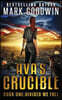 Divided We Fall: A Novel of the Coming Civil War in America