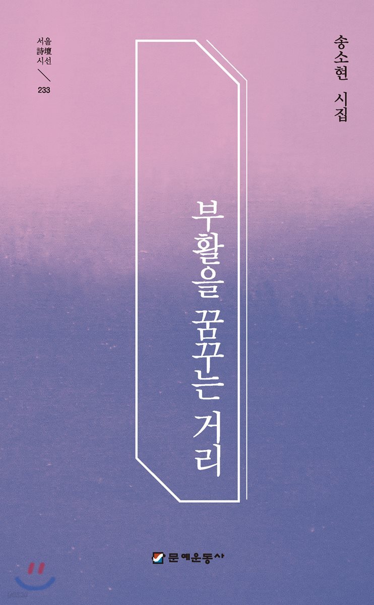 부활을 꿈꾸는 거리