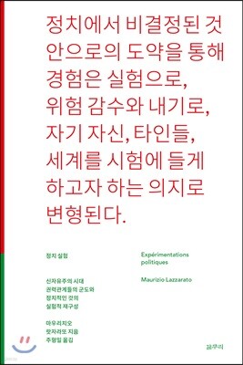 정치 실험