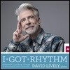 David Lively 20세기 미국 피아노 작품집 - I Got Rhythm