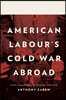 American Labour's Cold War Abroad: From Deep Freeze to Détente, 1945-1970