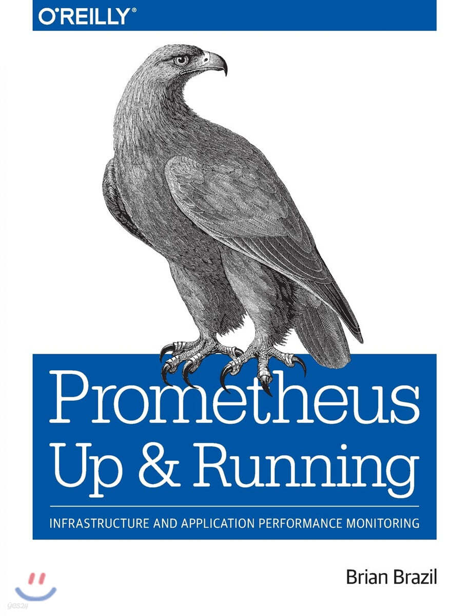 Prometheus: Up &amp; Running: Infrastructure and Application Performance Monitoring