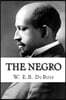 The Negro