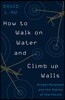 How to Walk on Water and Climb Up Walls: Animal Movement and the Robots of the Future