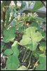 로스쿨의 四季