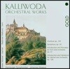 Johannes Moesus 칼리보다: 관현악 작품집 - 교향곡 3번, 서곡 12번 (Kalliwoda: Orchestral Works)