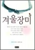 겨울장미